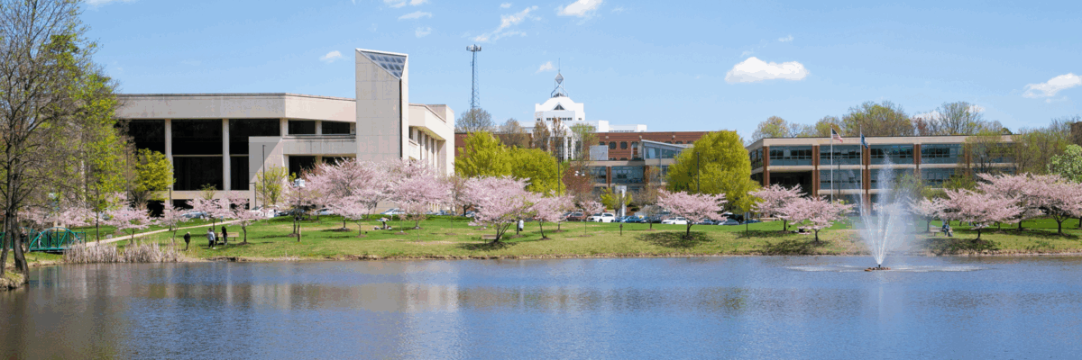 Cherry blossoms framing Mason Pond on the Fairfax campus of George Mason University