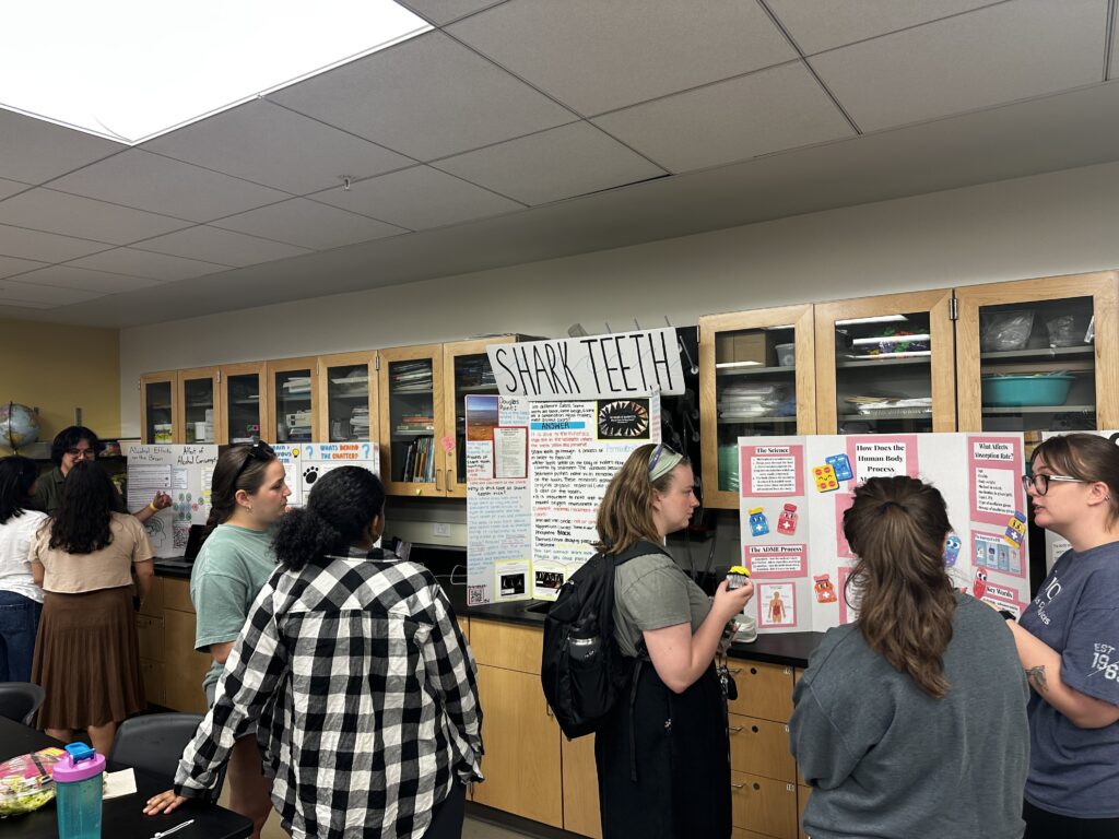 Students in the Elementary Education Program observing each other's "Wonder Projects"